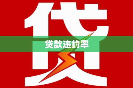 沙洋贷款违约率