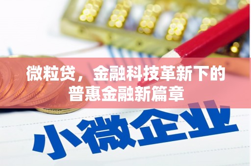沙洋微粒贷，金融科技革新下的普惠金融新篇章