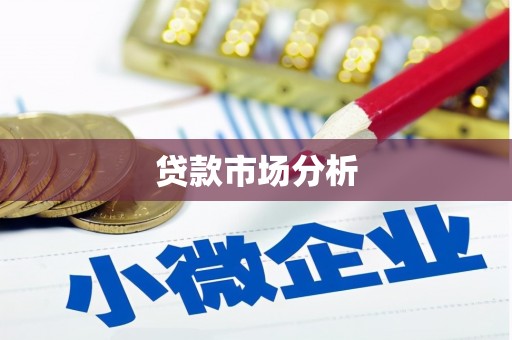 沙洋贷款市场分析