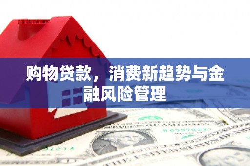 沙洋购物贷款，消费新趋势与金融风险管理