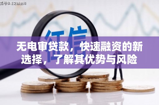 沙洋无电审贷款，快速融资的新选择，了解其优势与风险
