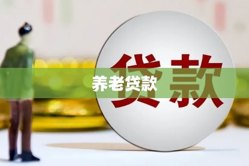 沙洋养老贷款
