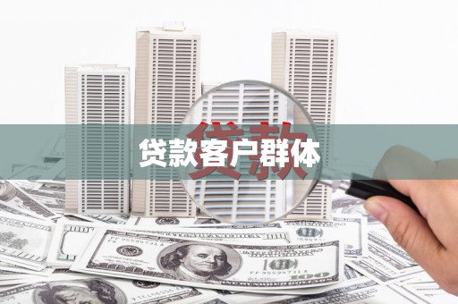 沙洋贷款客户群体