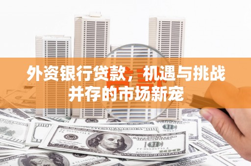 沙洋外资银行贷款，机遇与挑战并存的市场新宠