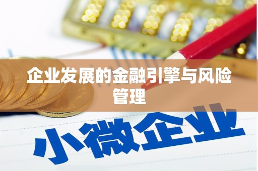 沙洋企业发展的金融引擎与风险管理