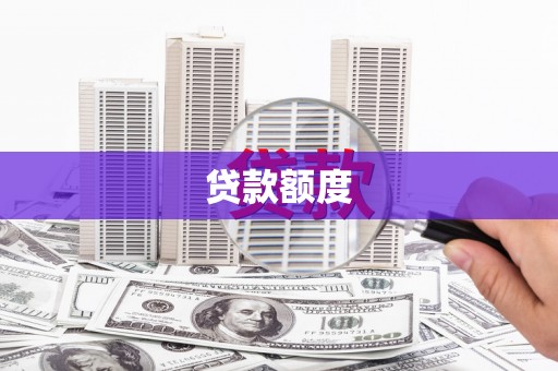 沙洋贷款额度