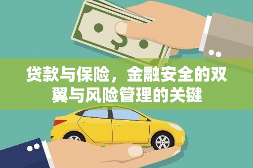沙洋贷款与保险，金融安全的双翼与风险管理的关键