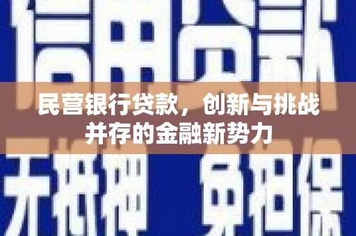 沙洋民营银行贷款，创新与挑战并存的金融新势力