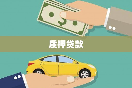 沙洋质押贷款