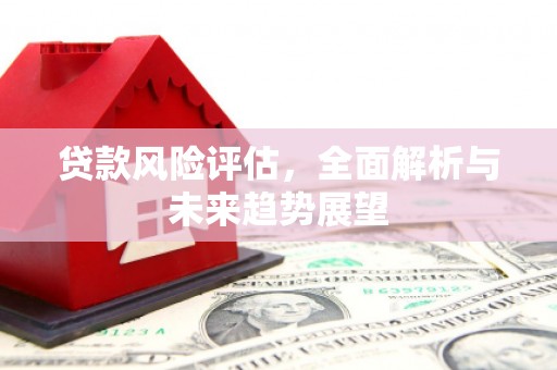 沙洋贷款风险评估，全面解析与未来趋势展望