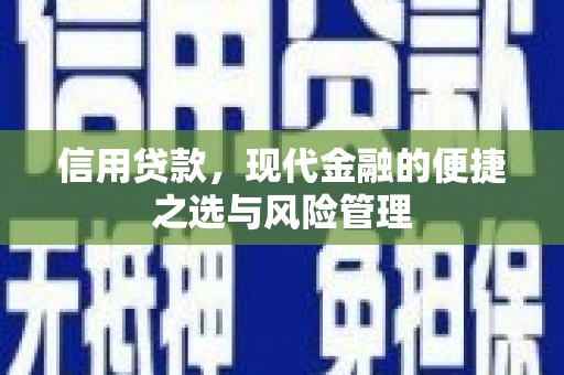 沙洋信用贷款，现代金融的便捷之选与风险管理