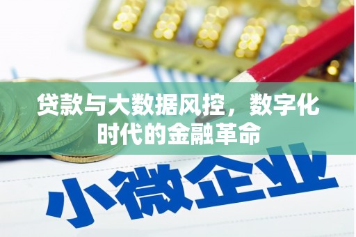 沙洋贷款与大数据风控，数字化时代的金融革命