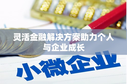 沙洋灵活金融解决方案助力个人与企业成长