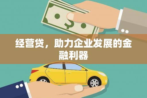 沙洋经营贷，助力企业发展的金融利器