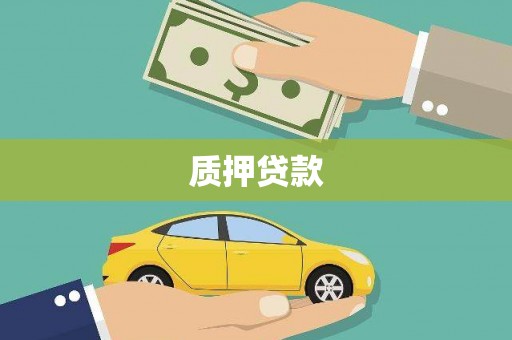 沙洋质押贷款
