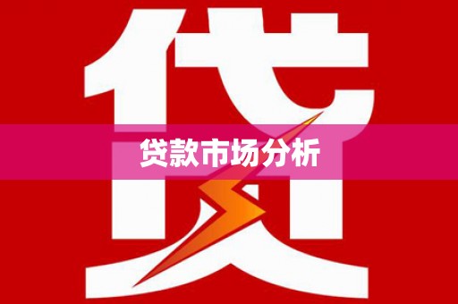 沙洋贷款市场分析