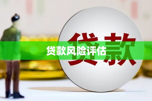 沙洋贷款风险评估