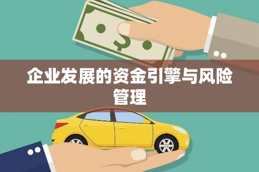 沙洋企业发展的资金引擎与风险管理