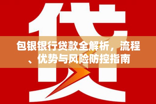沙洋包银银行贷款全解析，流程、优势与风险防控指南