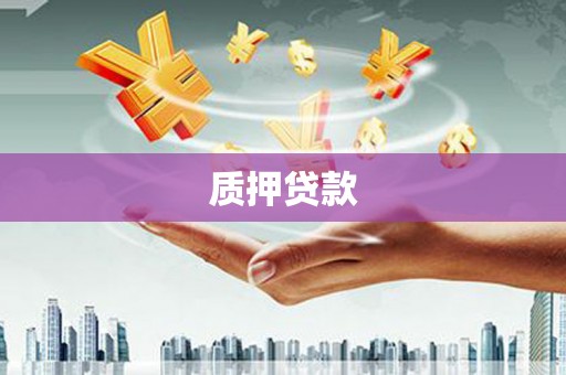 沙洋质押贷款