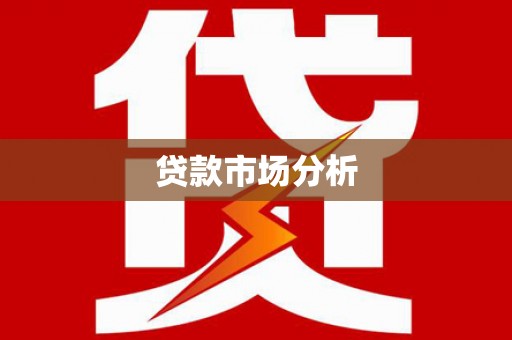 沙洋贷款市场分析