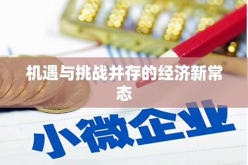 沙洋机遇与挑战并存的经济新常态