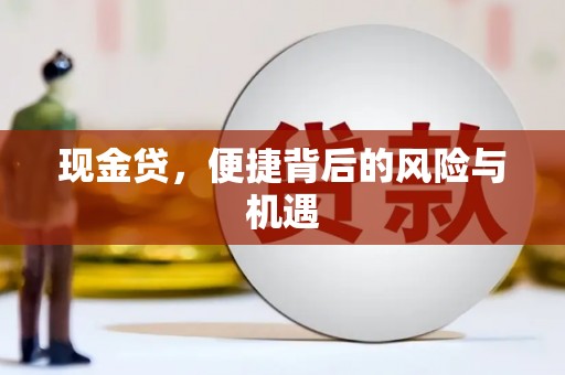 沙洋现金贷，便捷背后的风险与机遇