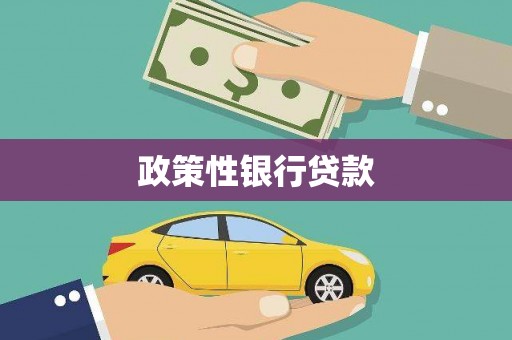 沙洋政策性银行贷款
