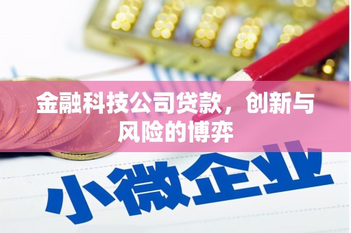 沙洋金融科技公司贷款，创新与风险的博弈