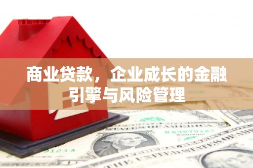 沙洋商业贷款，企业成长的金融引擎与风险管理