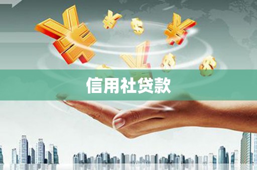 沙洋信用社贷款