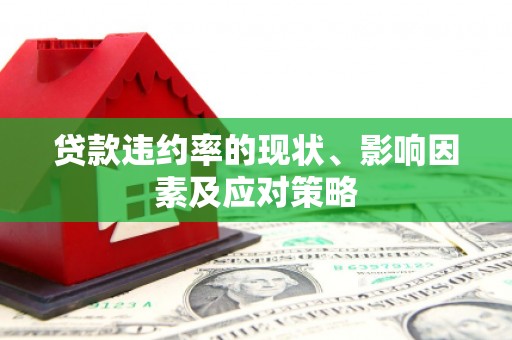 沙洋贷款违约率的现状、影响因素及应对策略