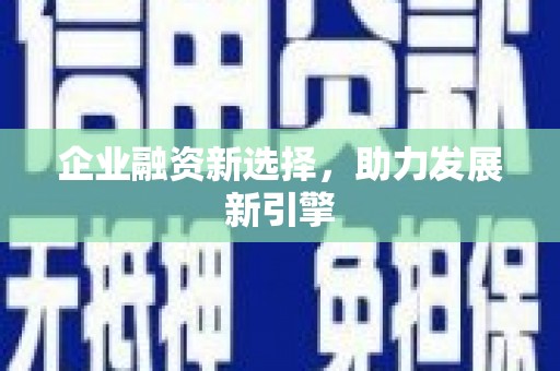 沙洋企业融资新选择，助力发展新引擎