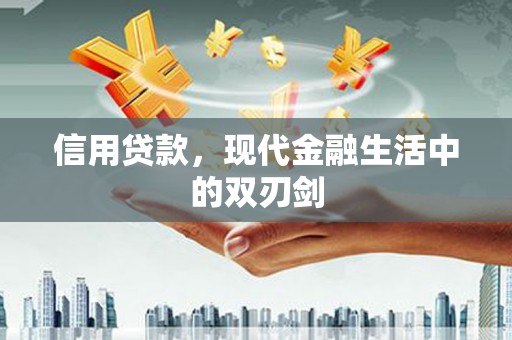 沙洋信用贷款，现代金融生活中的双刃剑