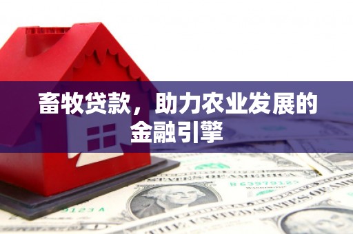 沙洋畜牧贷款，助力农业发展的金融引擎