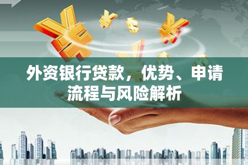 沙洋外资银行贷款，优势、申请流程与风险解析