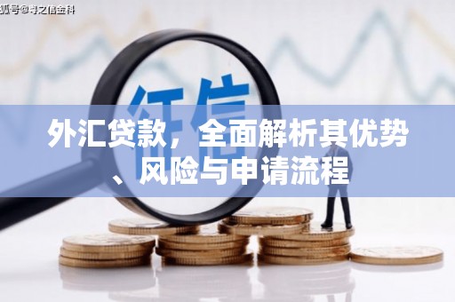 沙洋外汇贷款，全面解析其优势、风险与申请流程