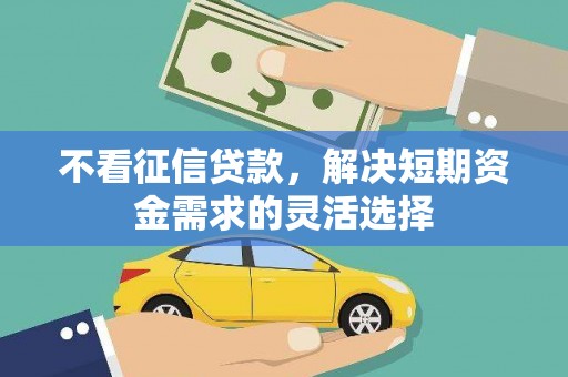 沙洋不看征信贷款，解决短期资金需求的灵活选择
