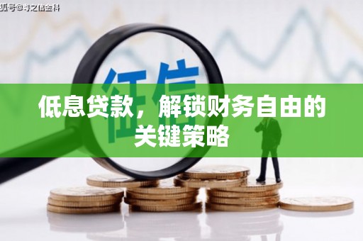 沙洋低息贷款，解锁财务自由的关键策略