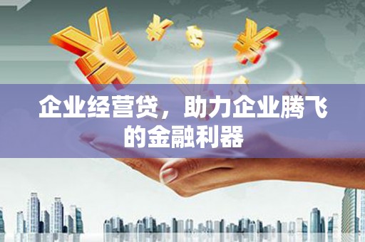 沙洋企业经营贷，助力企业腾飞的金融利器