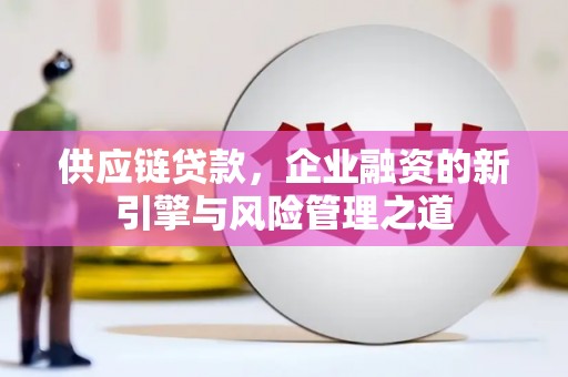 沙洋供应链贷款，企业融资的新引擎与风险管理之道