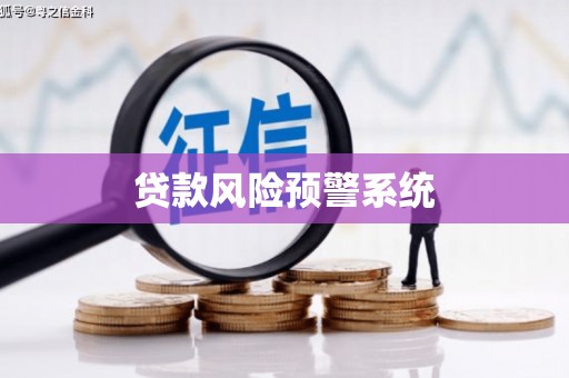 沙洋贷款风险预警系统