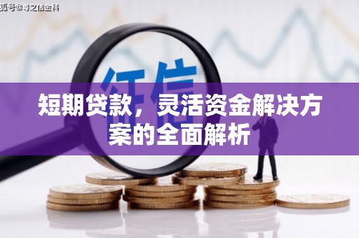 沙洋短期贷款，灵活资金解决方案的全面解析