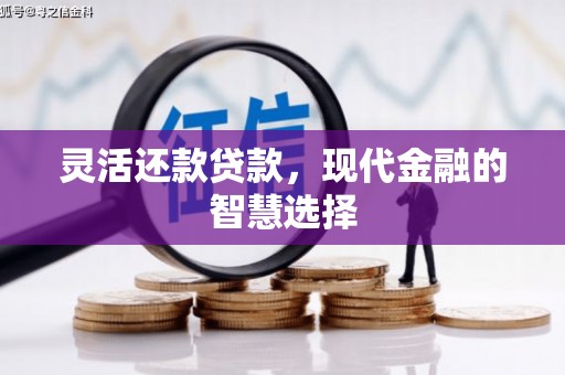 沙洋灵活还款贷款，现代金融的智慧选择