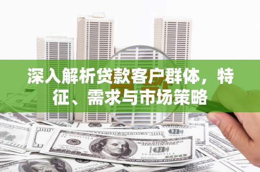 沙洋深入解析贷款客户群体，特征、需求与市场策略