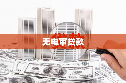 沙洋无电审贷款