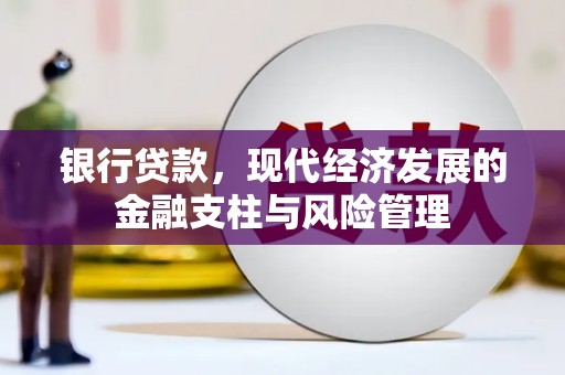 沙洋银行贷款，现代经济发展的金融支柱与风险管理