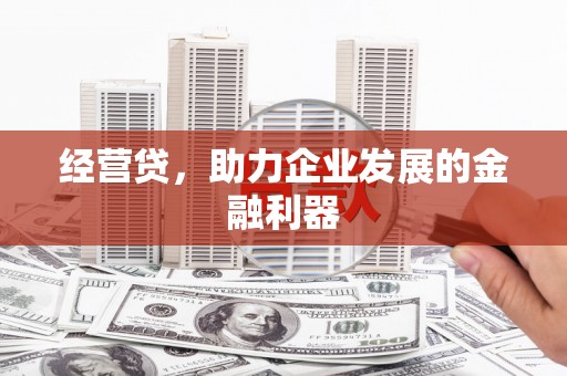 沙洋经营贷，助力企业发展的金融利器
