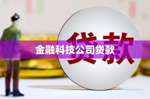 沙洋金融科技公司贷款