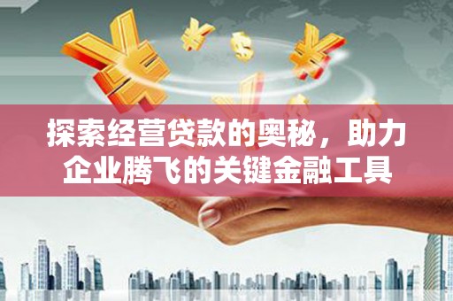 沙洋探索经营贷款的奥秘，助力企业腾飞的关键金融工具